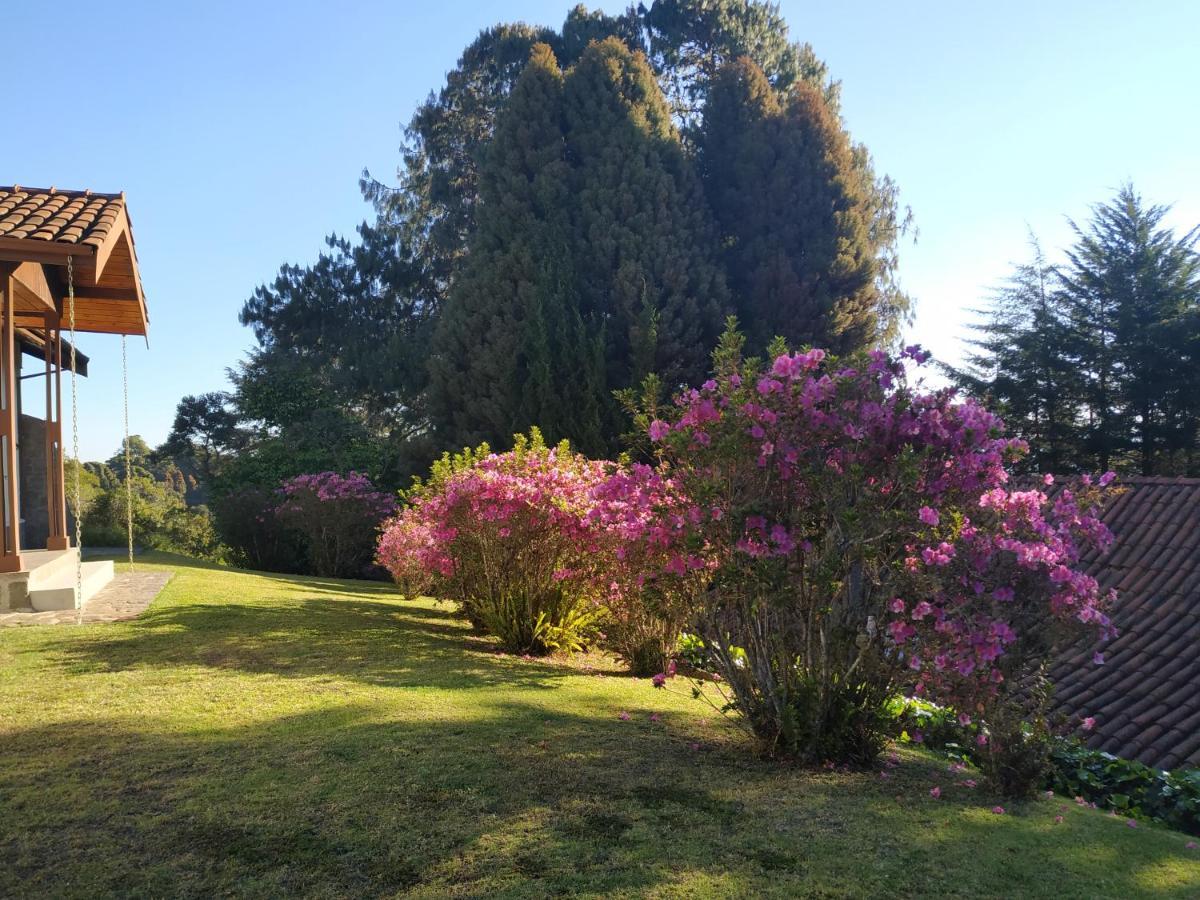 Quinta Flores