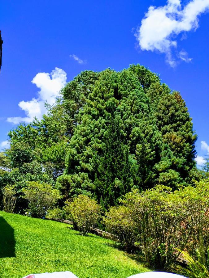 Quinta Flores Homestay